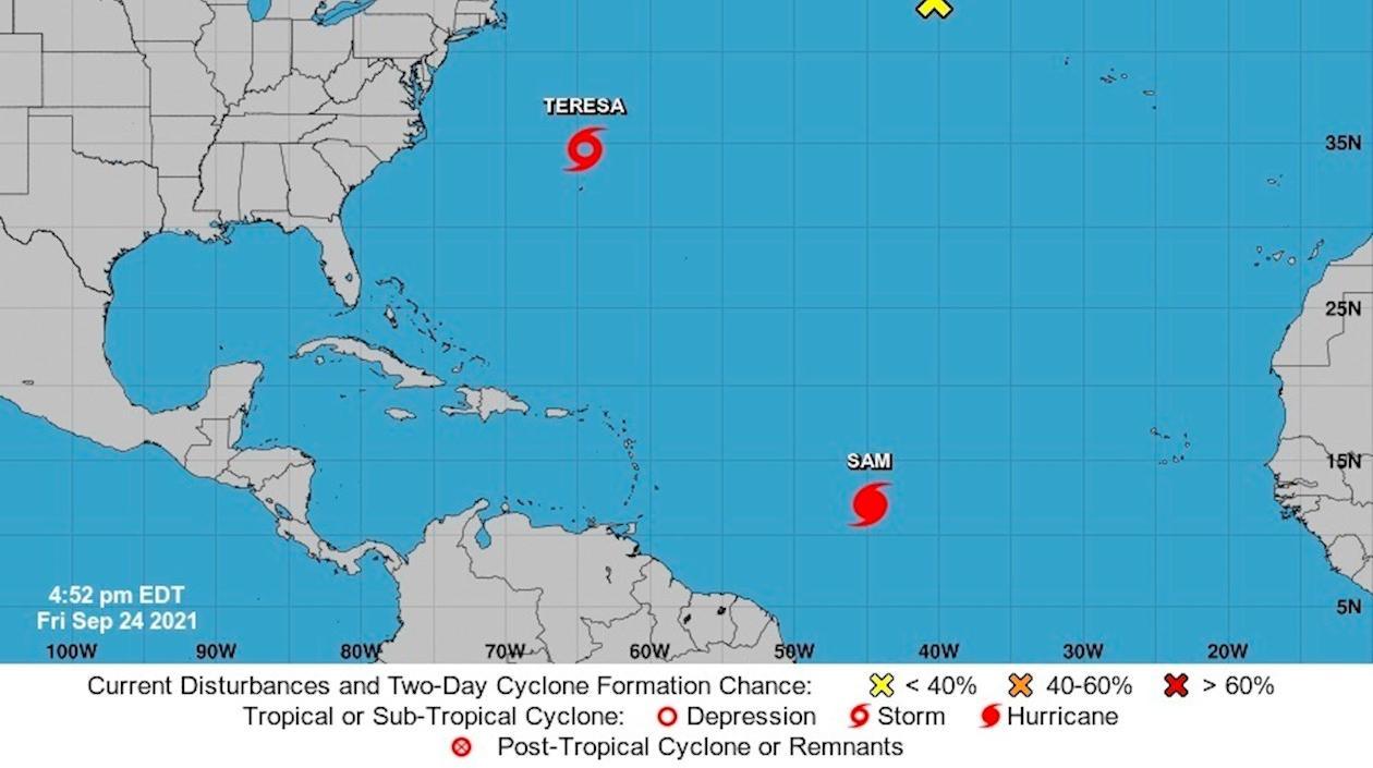 Imagen del monitoreo. 