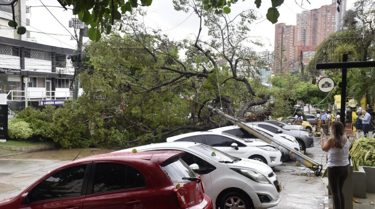 Foto de los vehículos afectados por un poste y un árbol en el barrio El Prado.