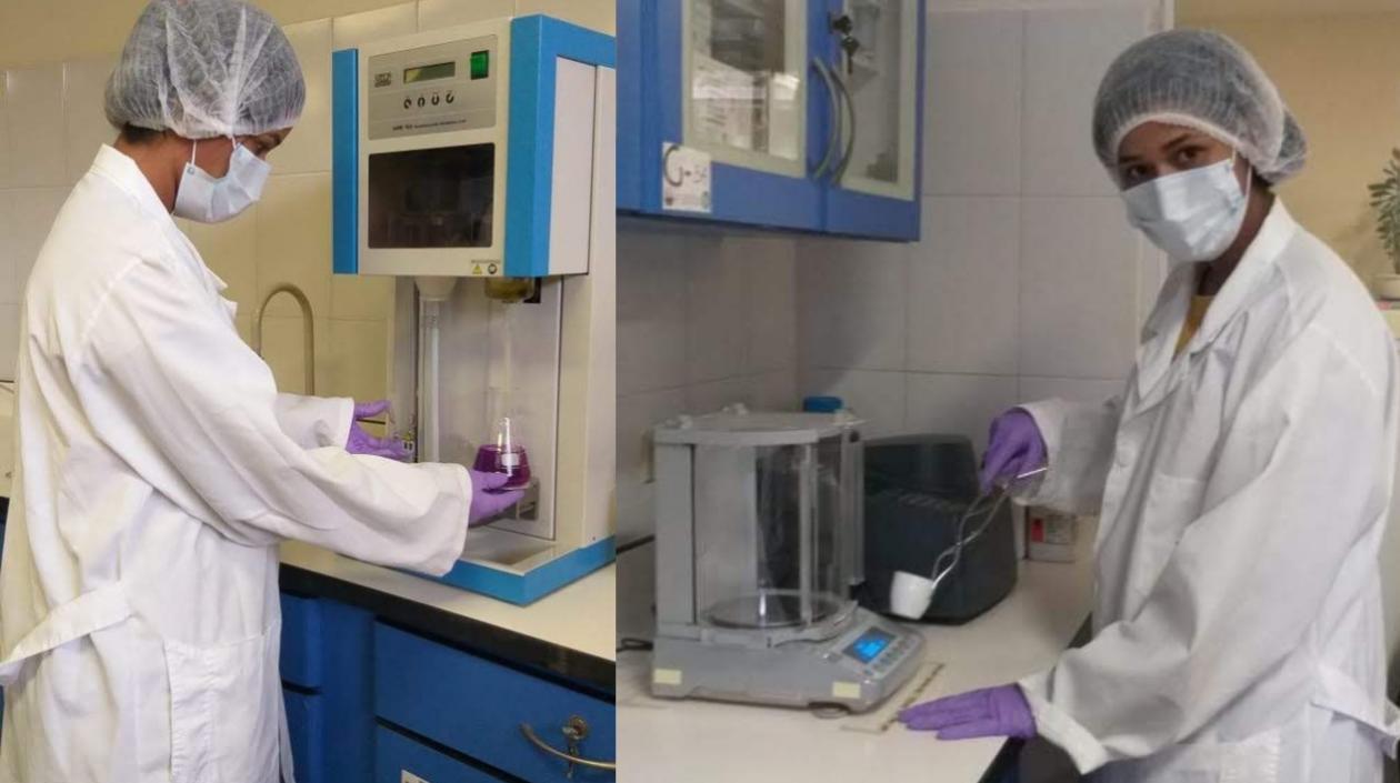 El mijo cuarentano es una especie con alto valor nutricional desaprovechadas en el consumo humano.