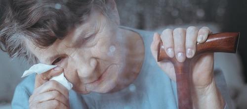 Imagen de referencia.