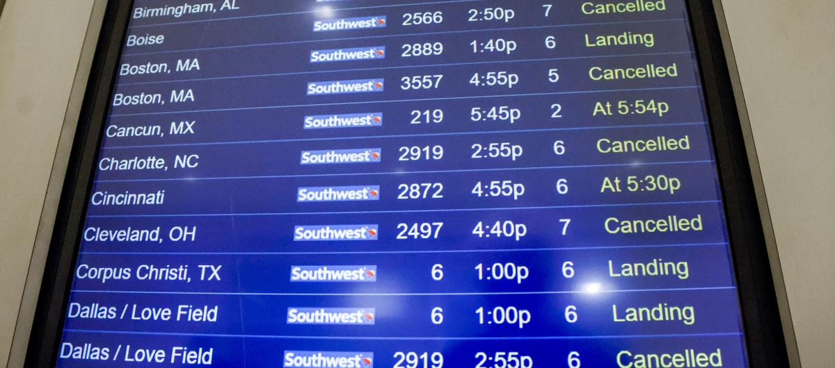 Imagen de referencia.