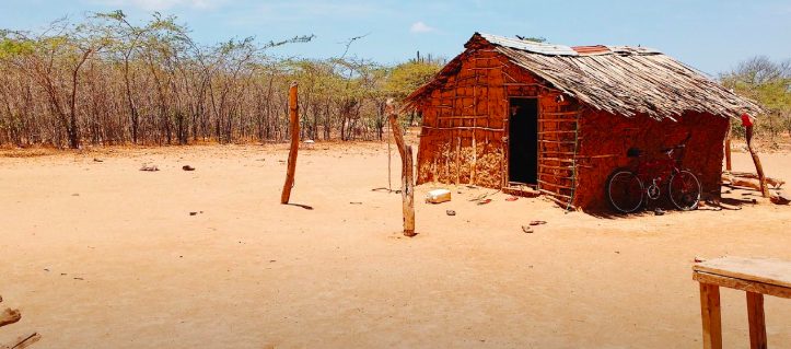 Imagen de referencia.