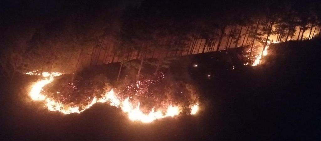 Aspecto del incendio forestal en cerro de Bello.
