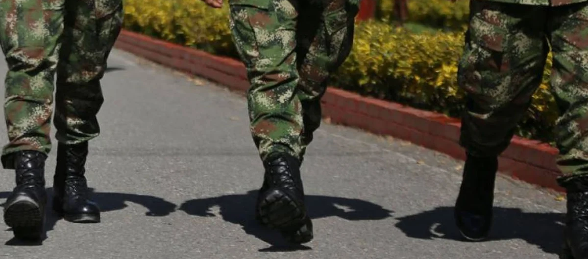 Imagen de referencia. 