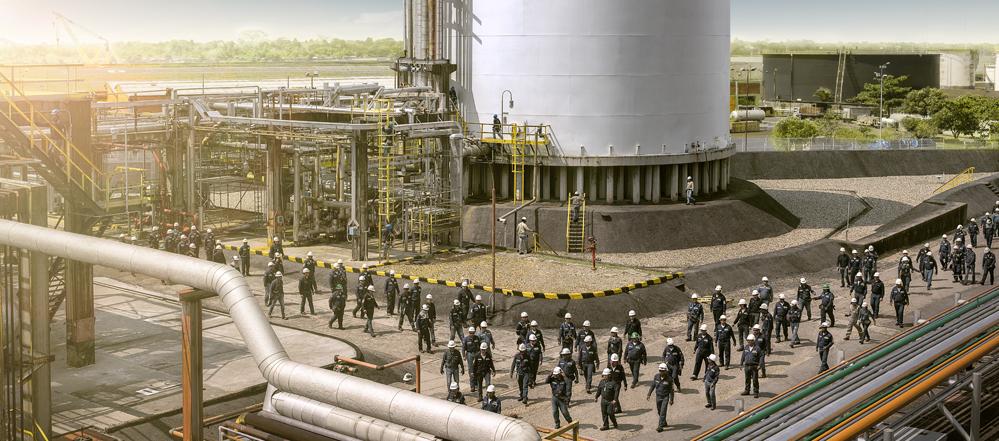 Imagen de referencia.