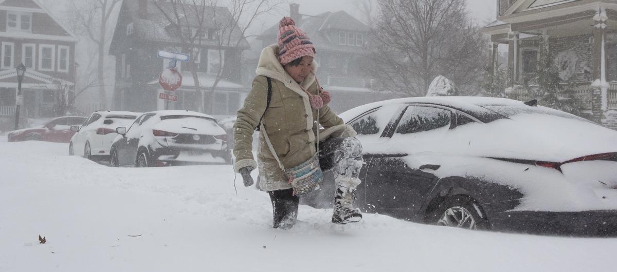 Imagen de referencia.