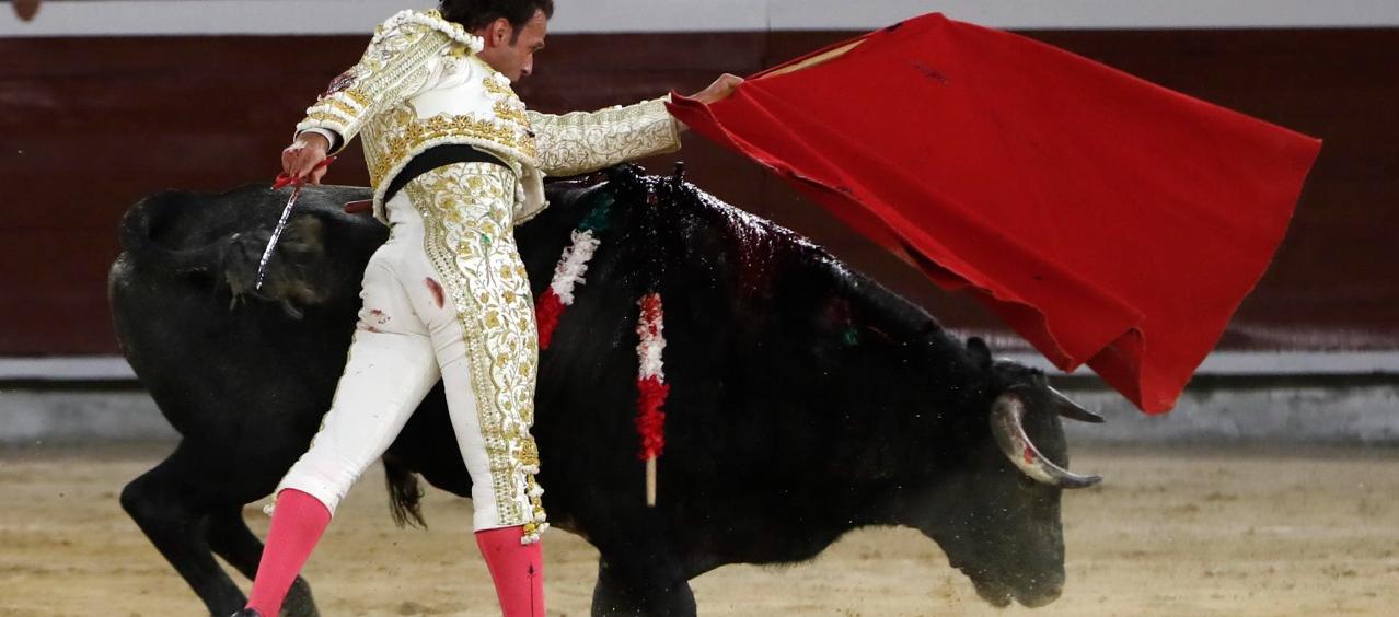 El torero español Antonio Ferrera en plena faena en la plaza Cañaveralejo de Cali, durante la Feria.