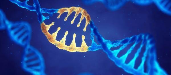 Imagen de referencia.