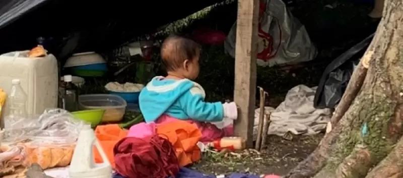 Imagen de referencia.