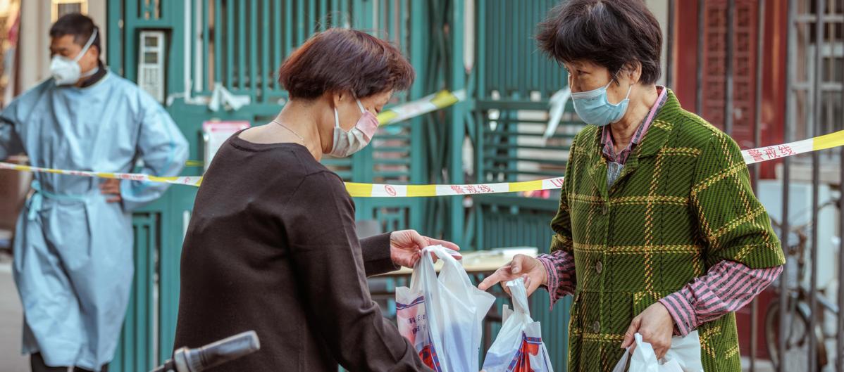 Imagen de referencia.