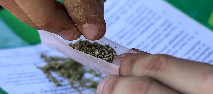 Imagen de referencia.