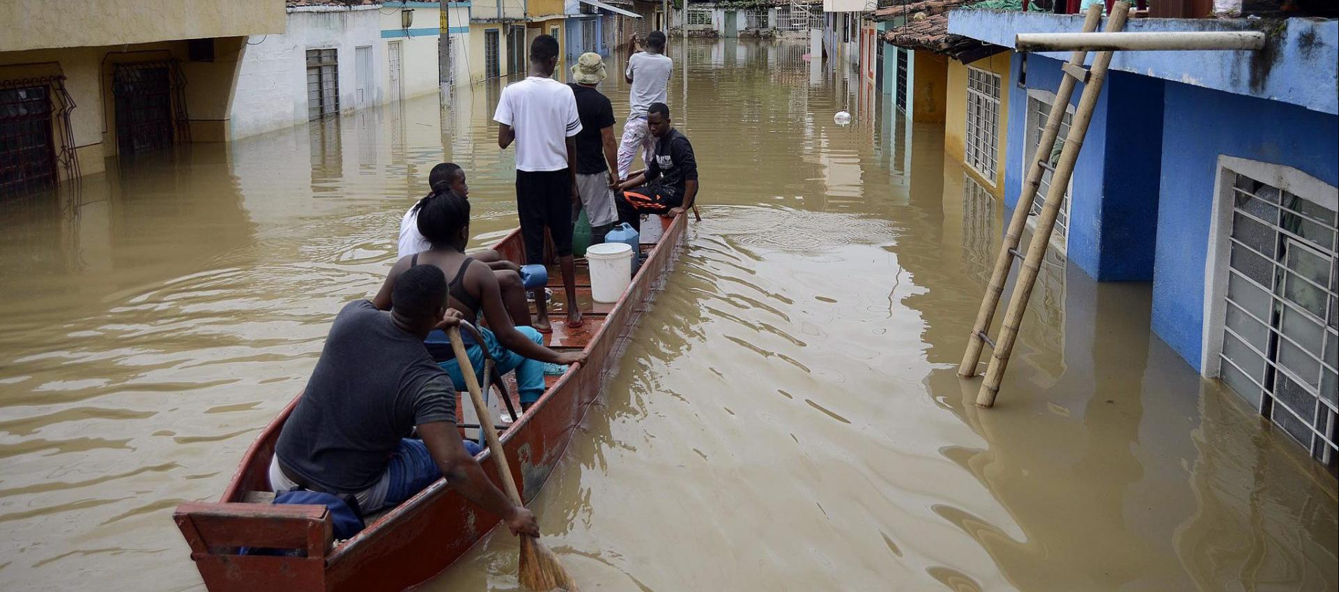 Imagen de referencia.