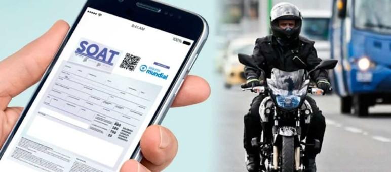 Imagen de referencia.