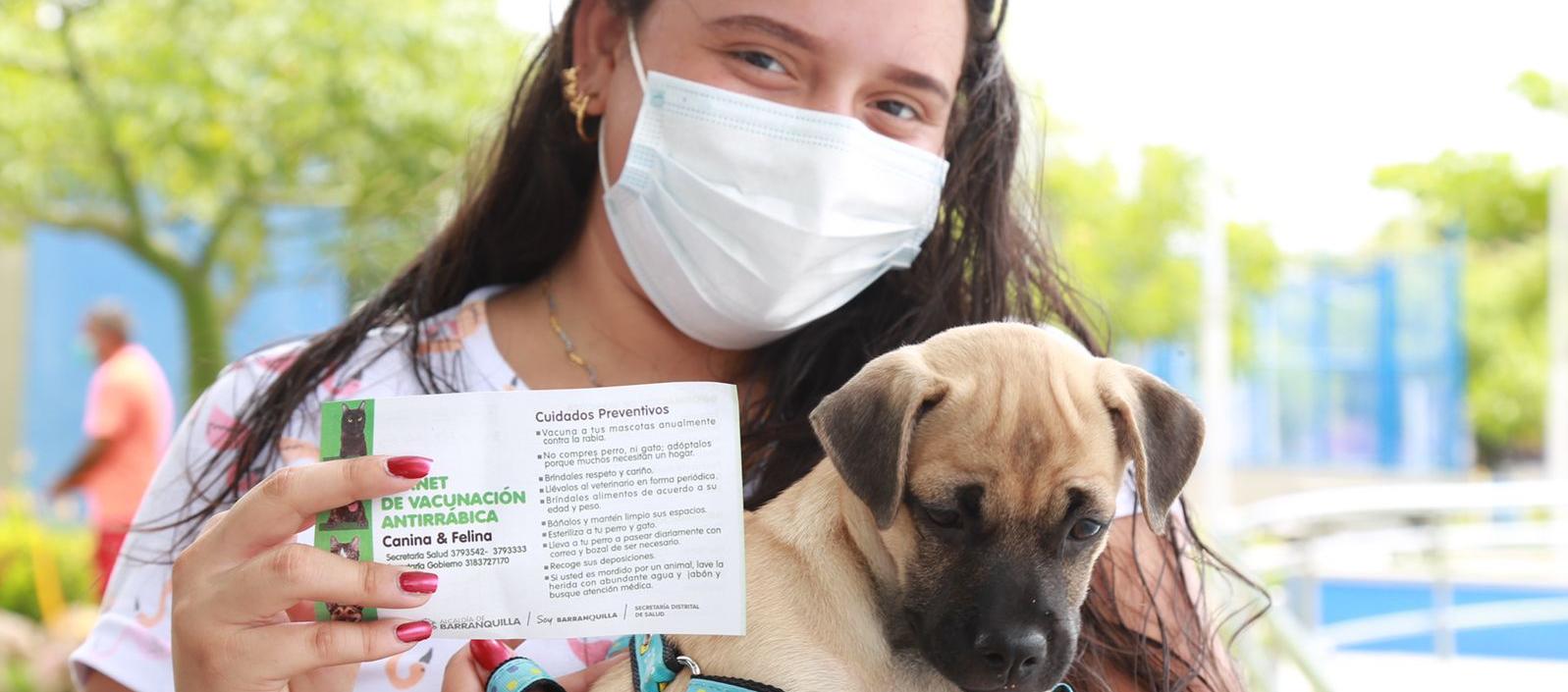 Imagen de referencia. 