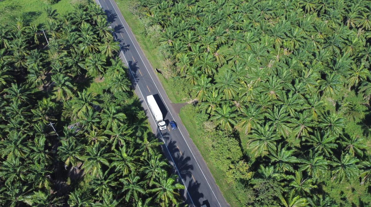 Un tramo de la vía entre San Onofre y Cruz del Viso.