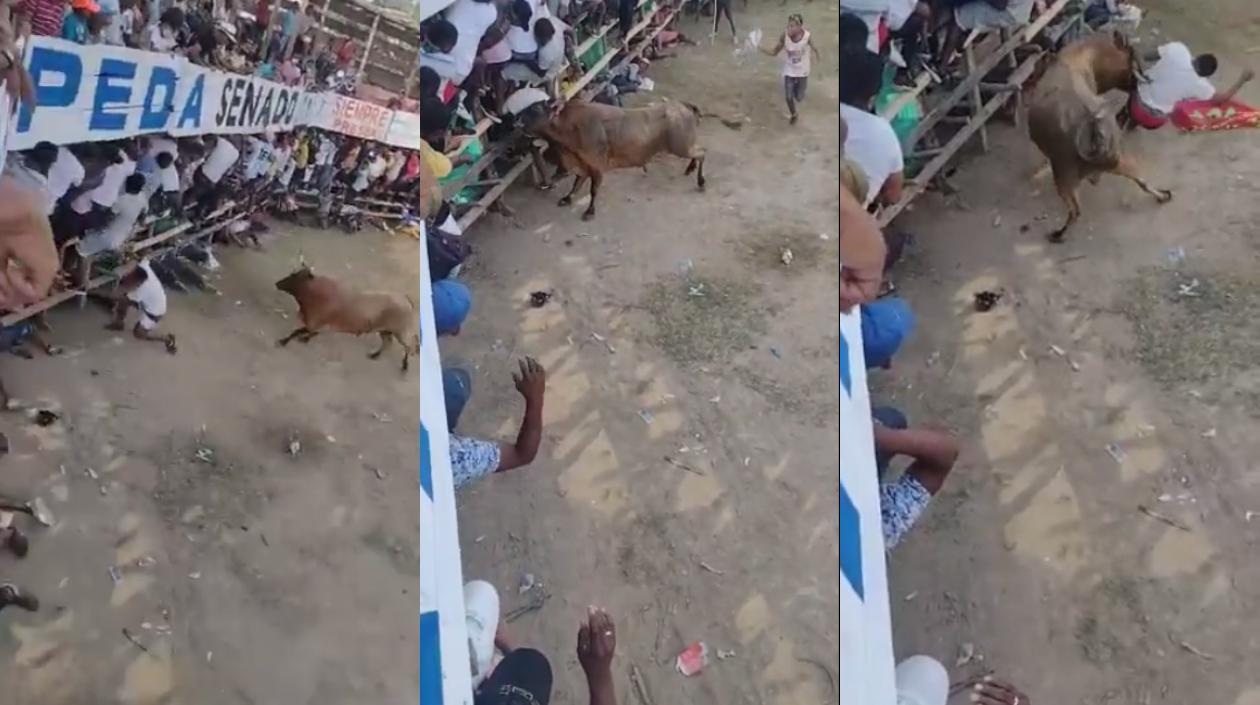 Imágenes de las cornadas.