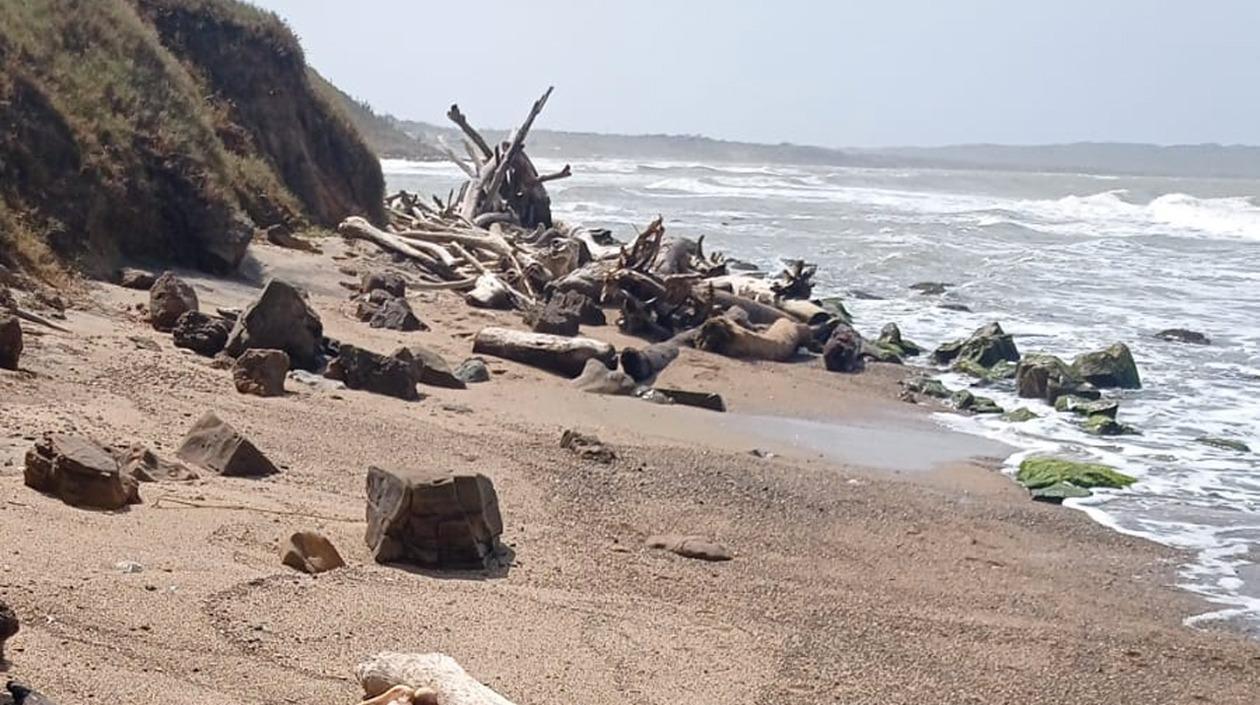 El cuerpo del hombre fue hallado en este sector. 