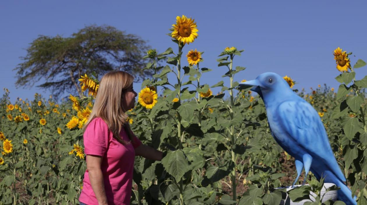 La Gobernadora del Atlántico, Elsa Noguera.