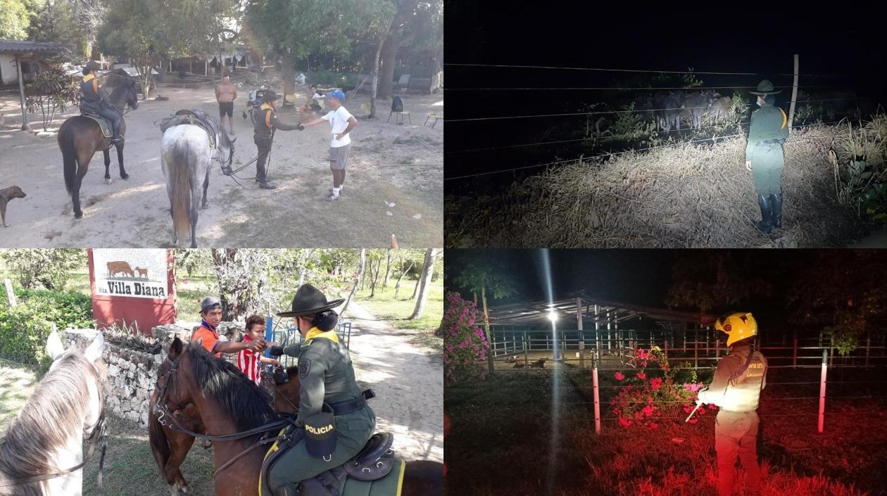 Imágenes de la campaña.