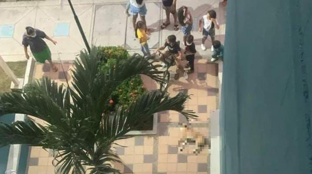 Lanzó un perro desde un sexto piso tras derrota de Colombia