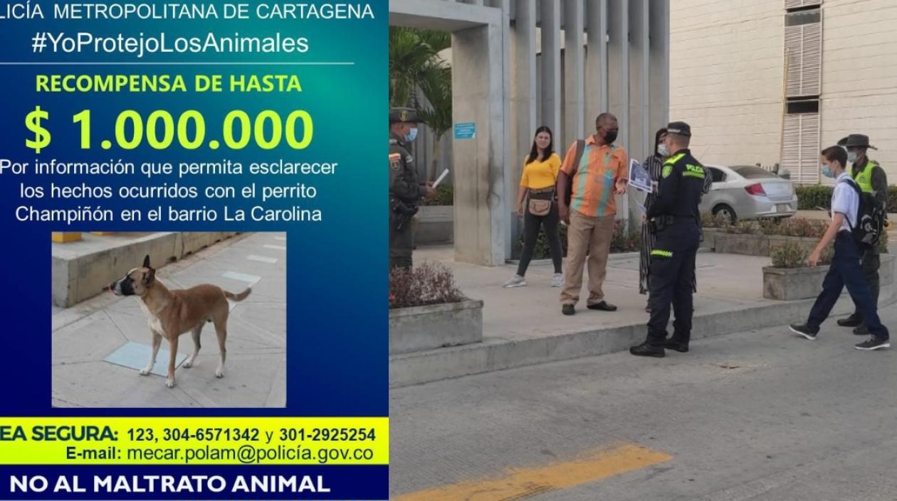 Recompensa por la muerte del perrito en el conjunto residencial El Club. 