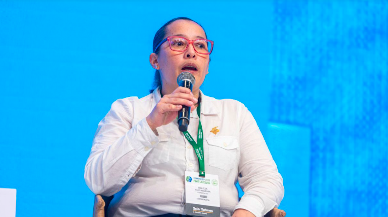 La Viceministra de Energía, Belizza Ruiz.