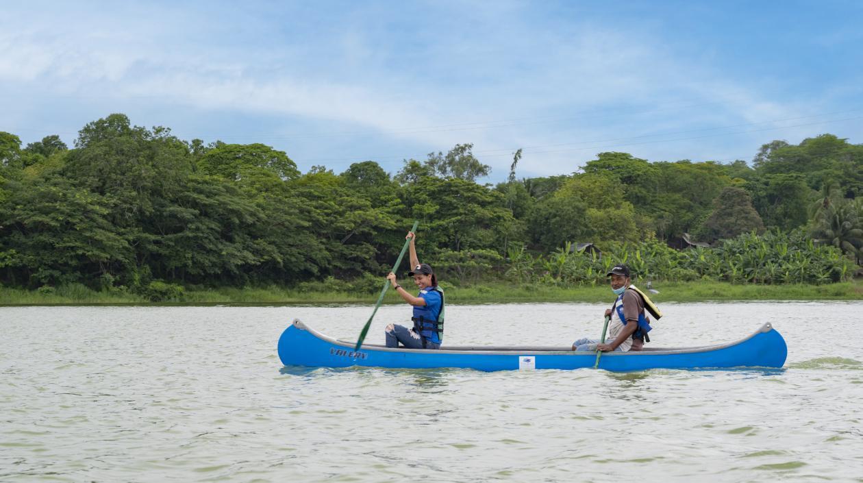 Imagen de referencia.