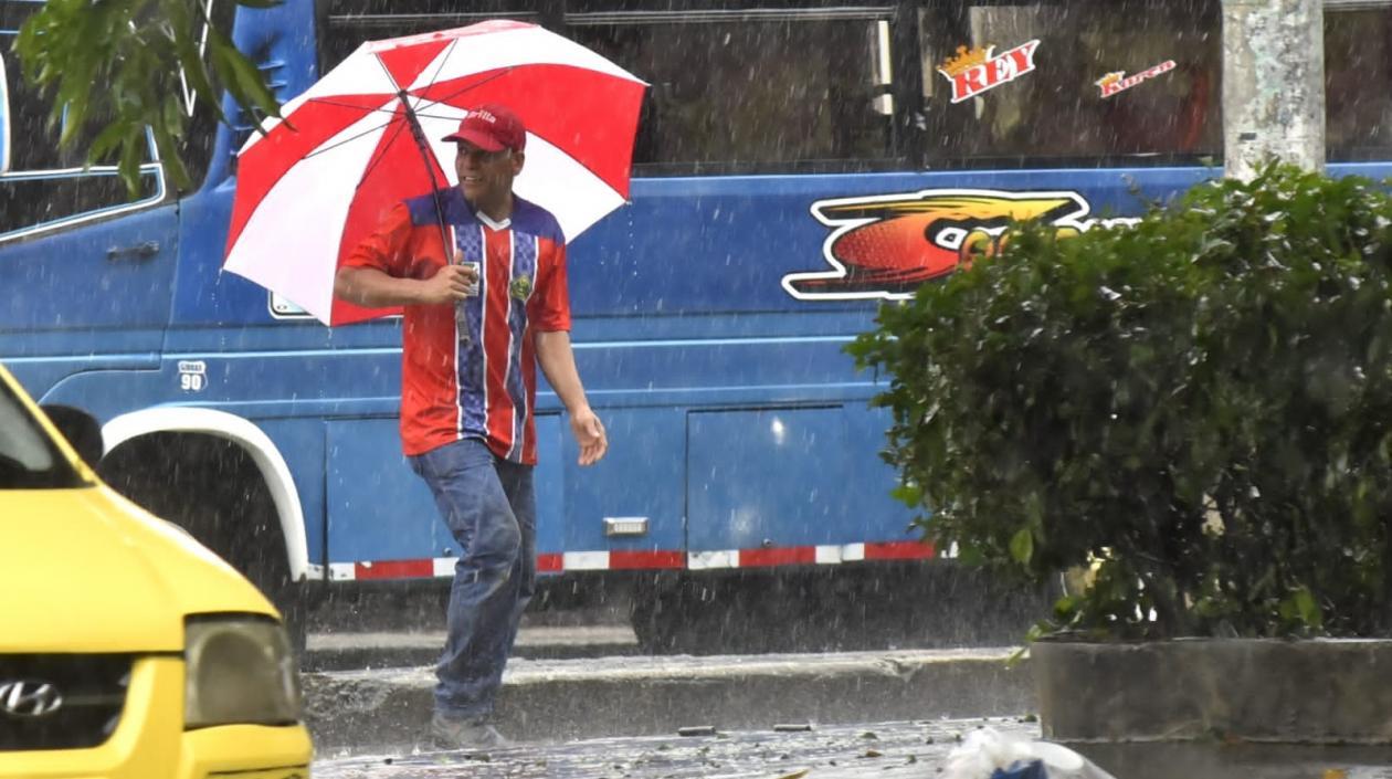 Imagen de referencia.