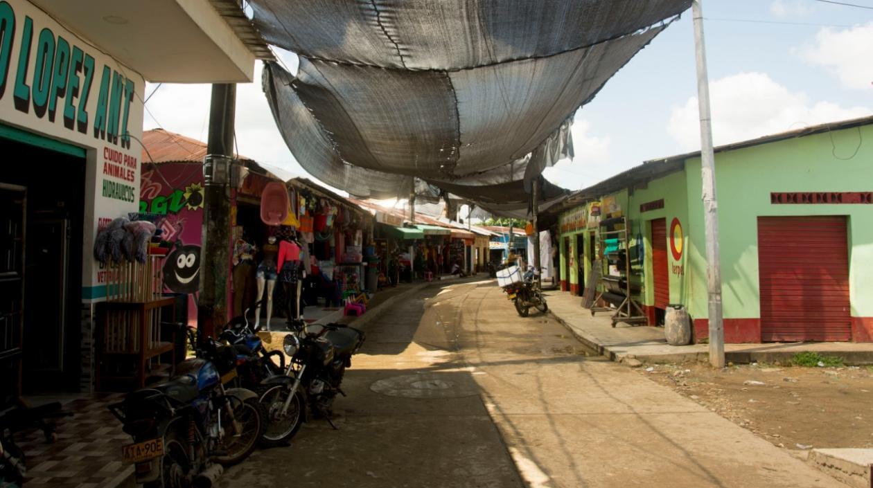 Imagen de referencia.