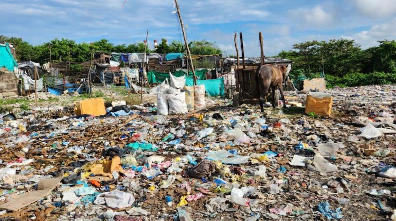 El basurero a cielo abierto de La Concepción ocupa 7.8 hectáreas a orillas del río Magdalena.