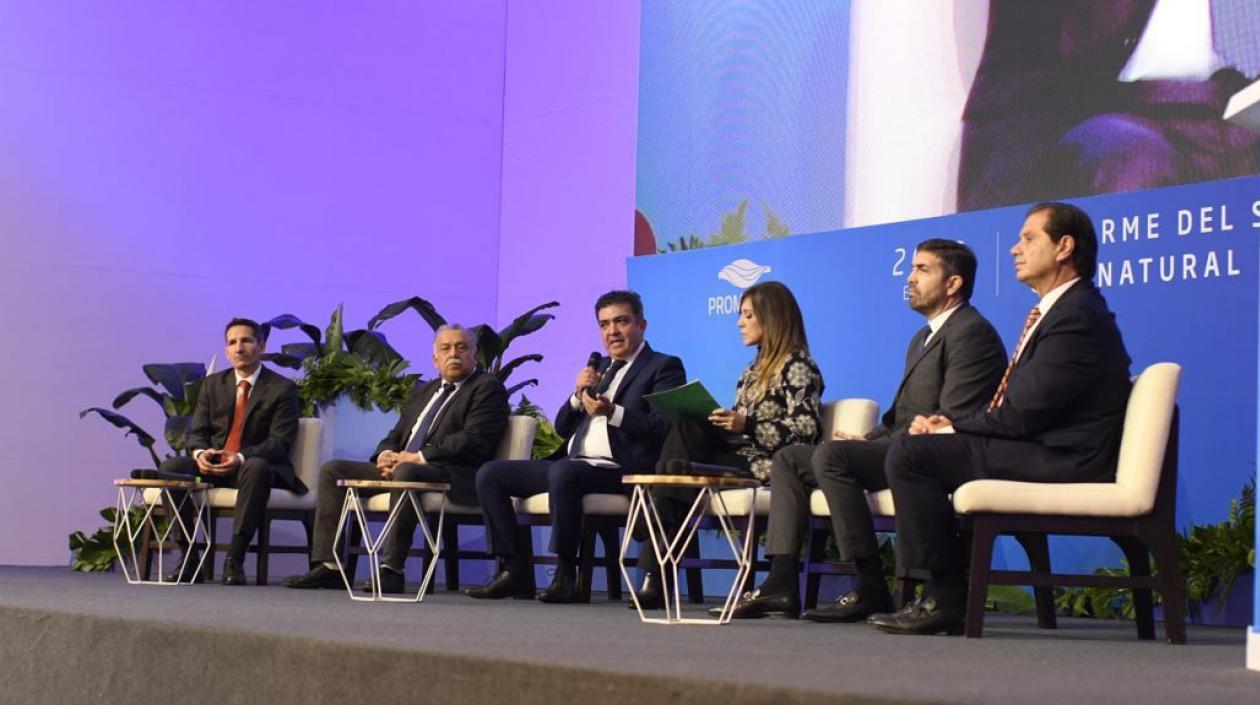 Un aspecto de la VII edición del Informe del Sector Gas Natural en Perú.