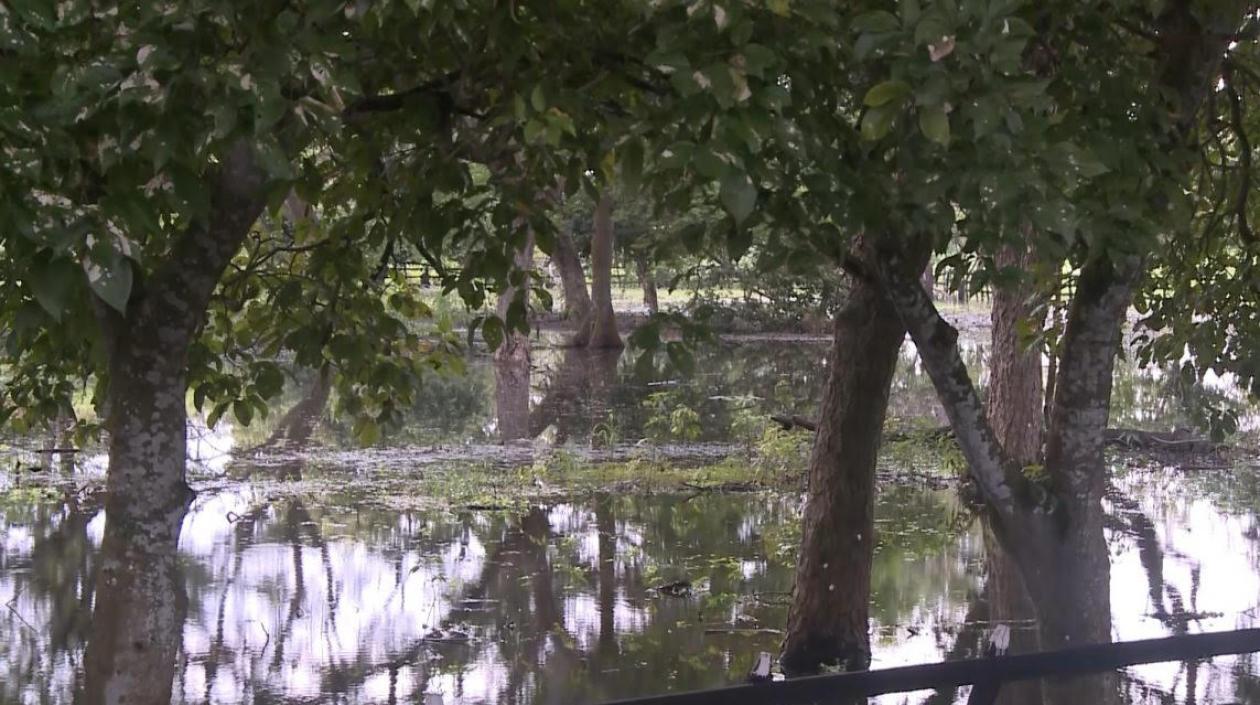 Río Magdalena