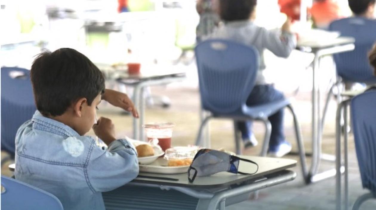 Los mandatarios deberán rendir informes sobre la entrega de las raciones.