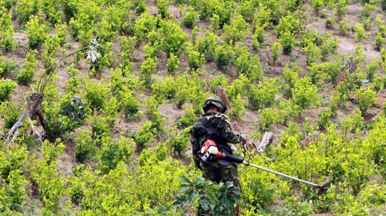 Imagen de referencia.