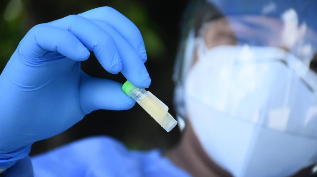 Imagen de referencia.