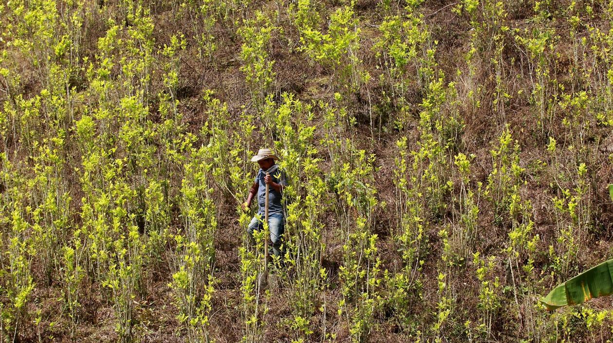 Imagen de referencia.