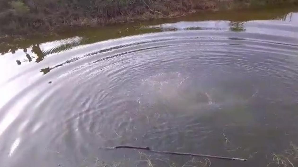 Lugar donde ocurrió el trágico hecho. 