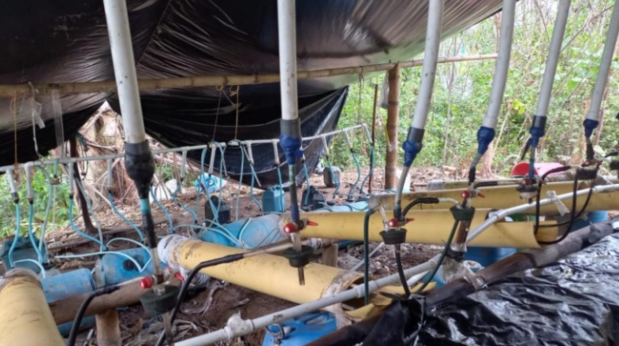 Parte de las 71 construcciones rústicas de grupos de narcotraficantes.