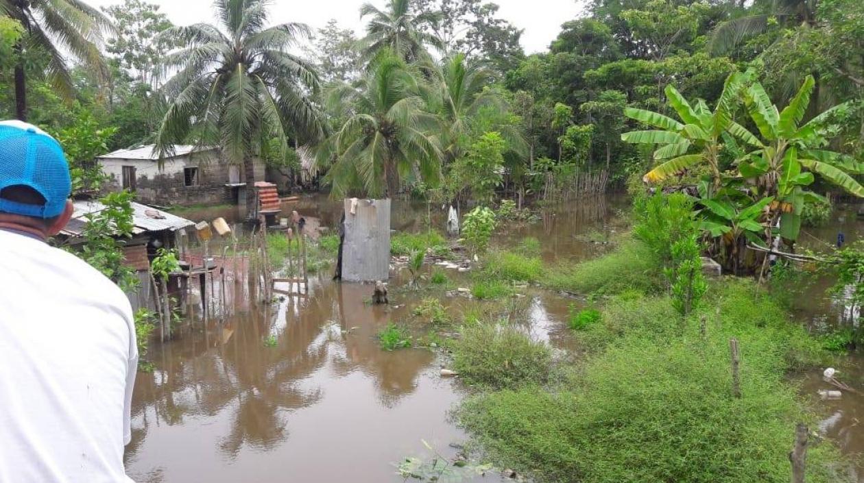 Imagen de referencia.