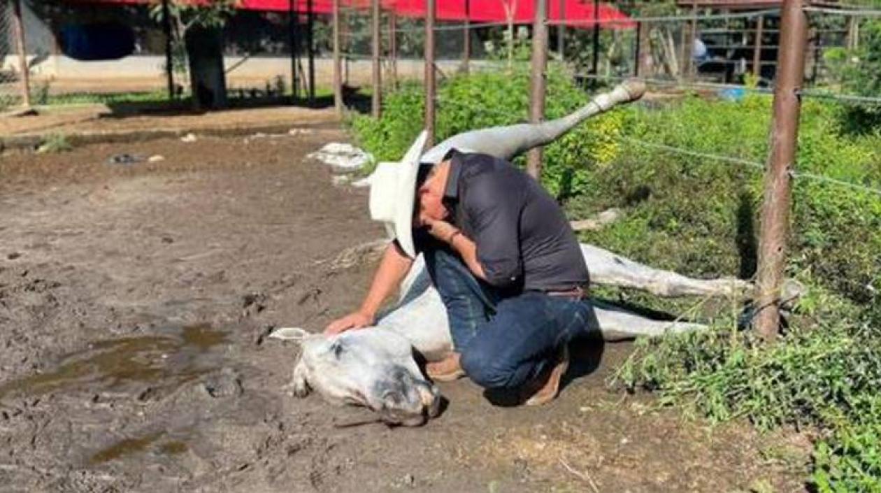 El senador Alirio Barrera llora sobre el cuerpo sin vida de 'Pasaporte'.