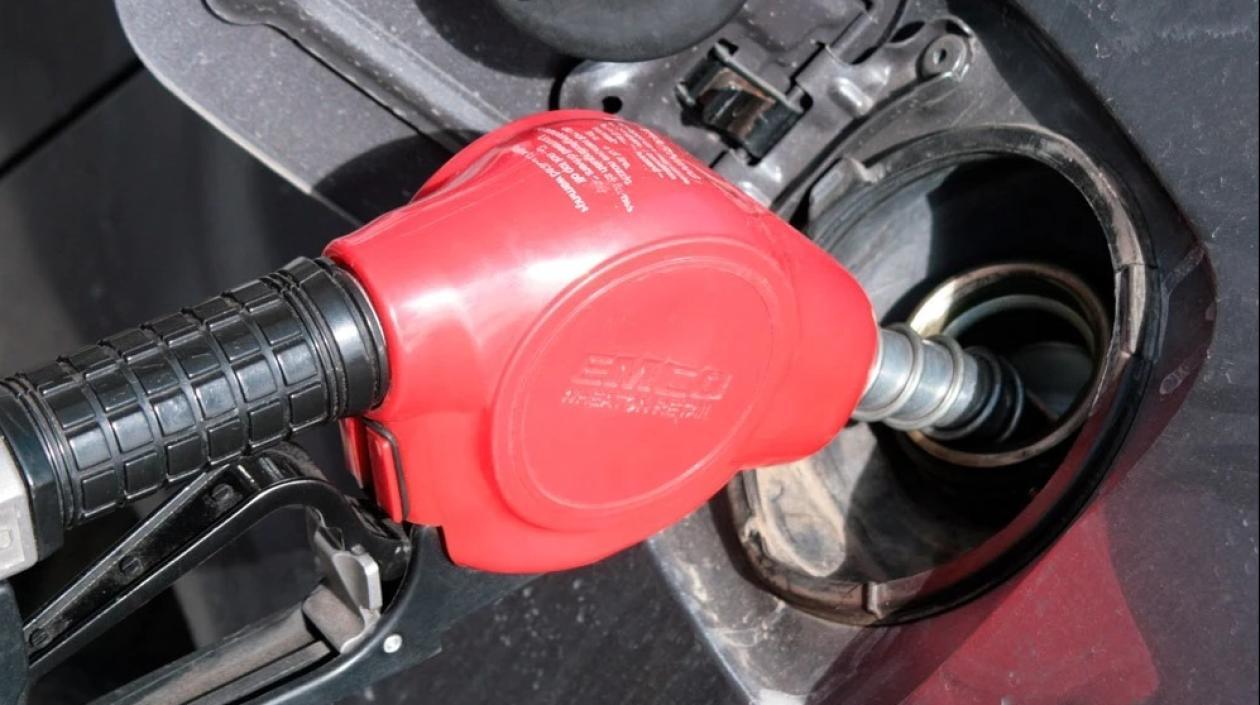 Imagen de referencia.