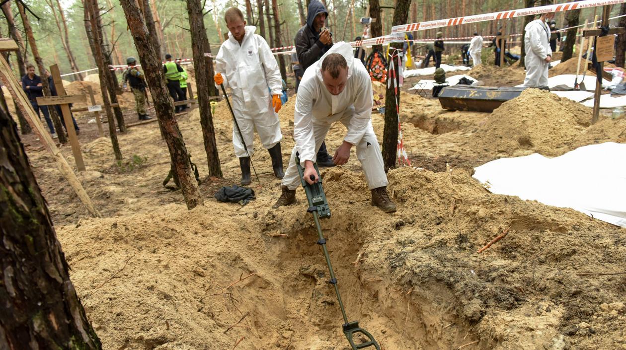 Imagen de los hallazgos.