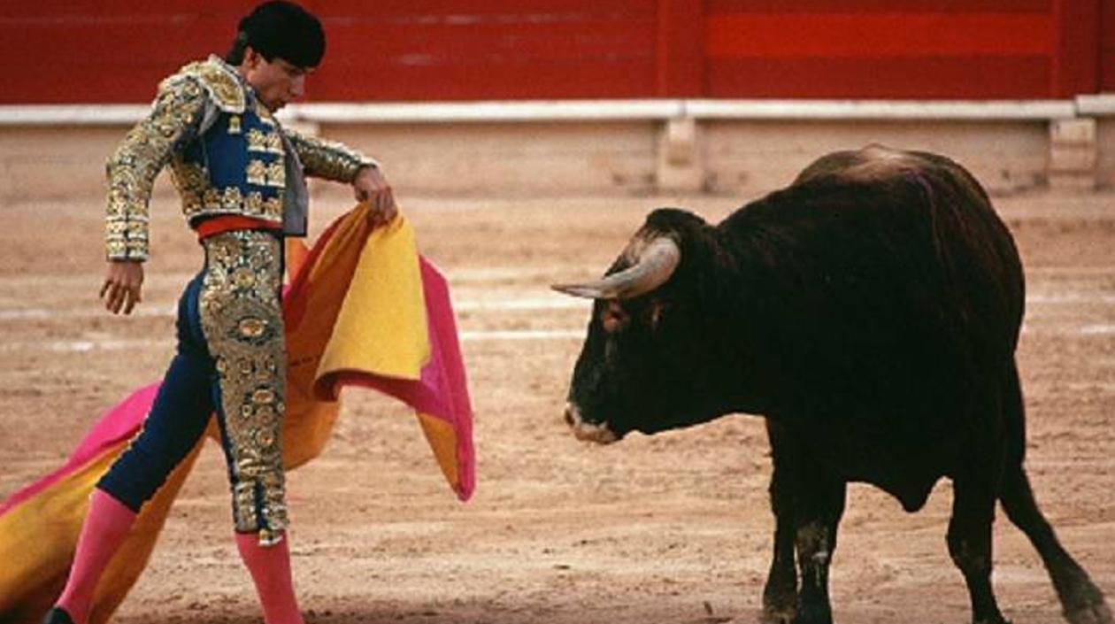 Imagen de referencia.