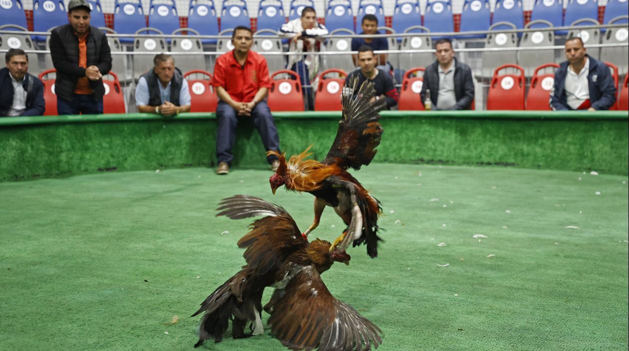 Imagen de referencia.