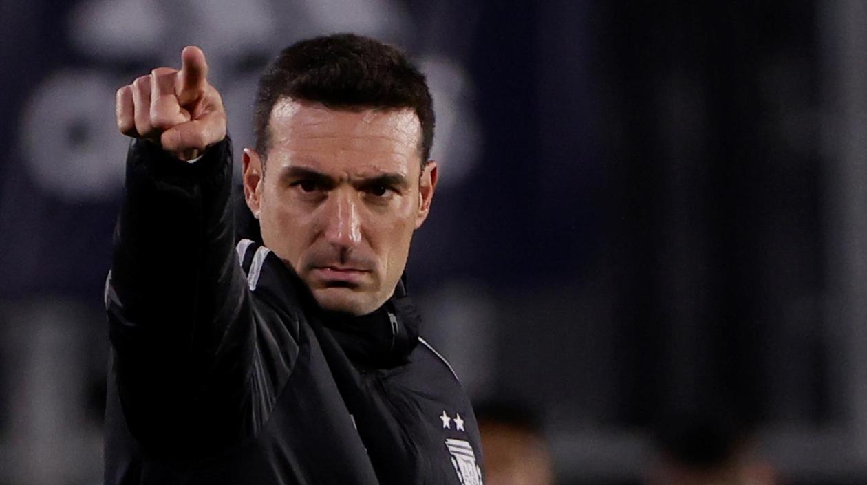 Lionel Scaloni, entrenador de Argentina. 