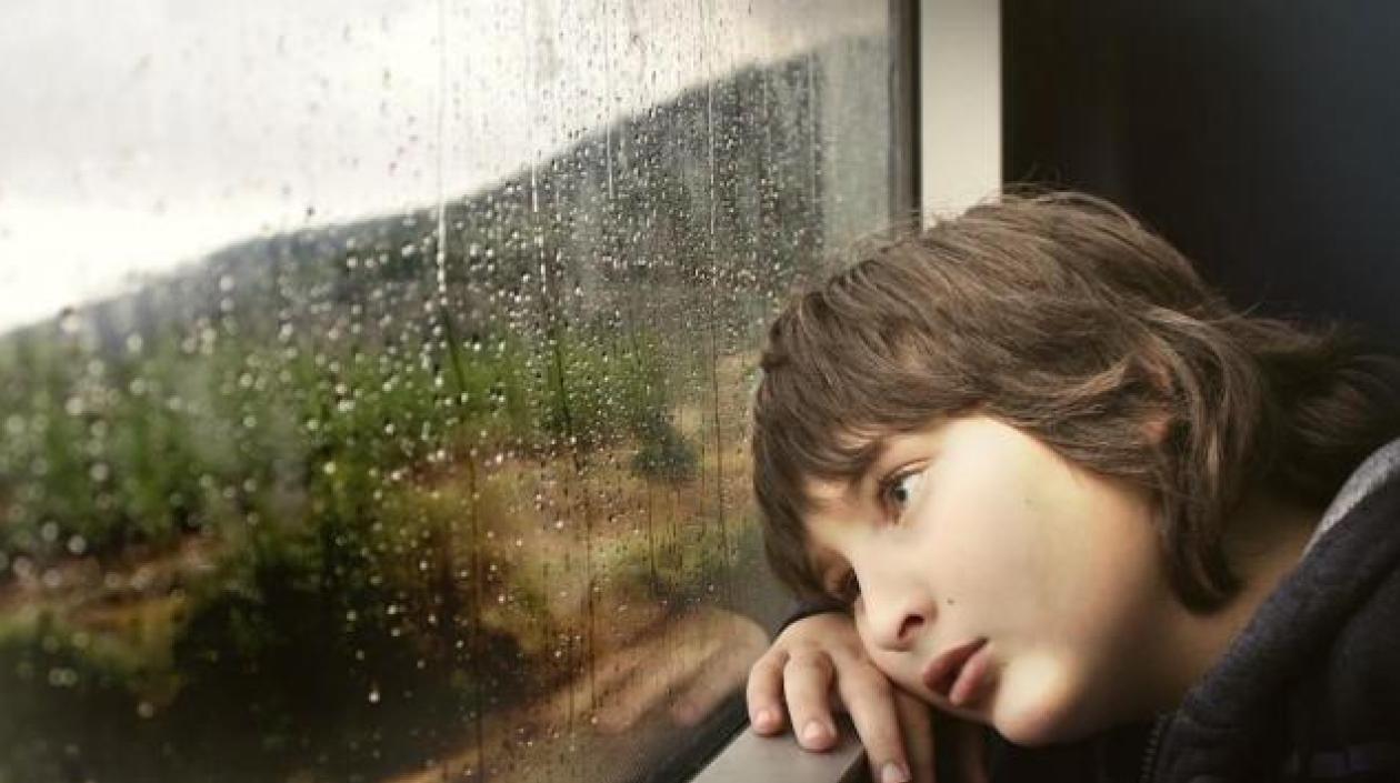 Imagen de referencia.