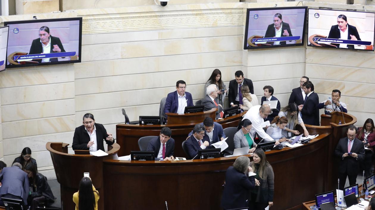 Imagen de los debates en el Congreso.