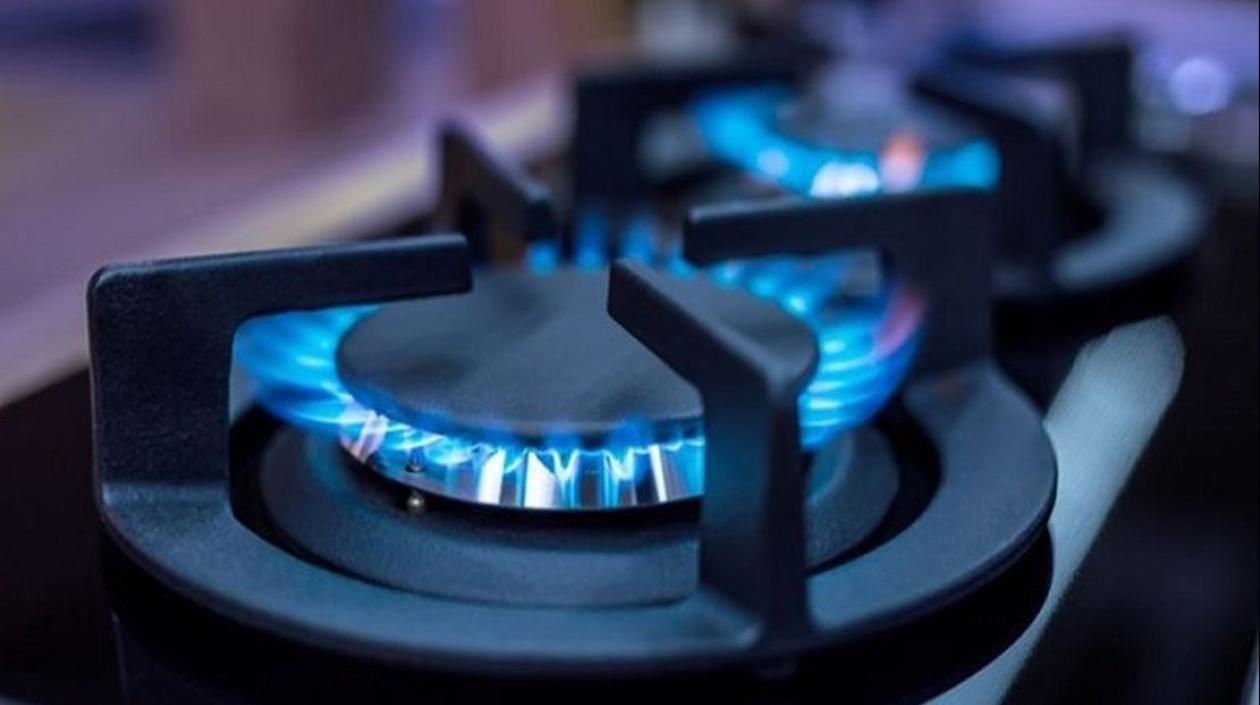 Imagen de referencia.