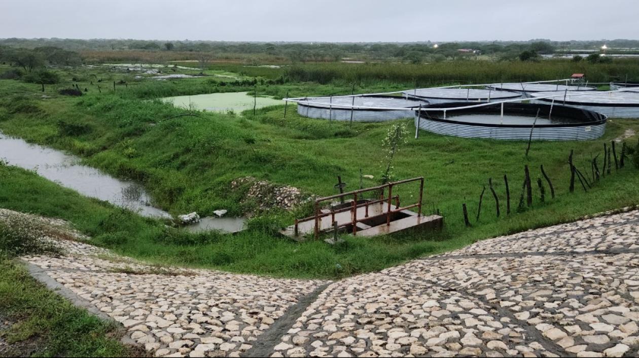 Distrito de Drenaje de Manatí visto desde las compuertas de Puente Militar.