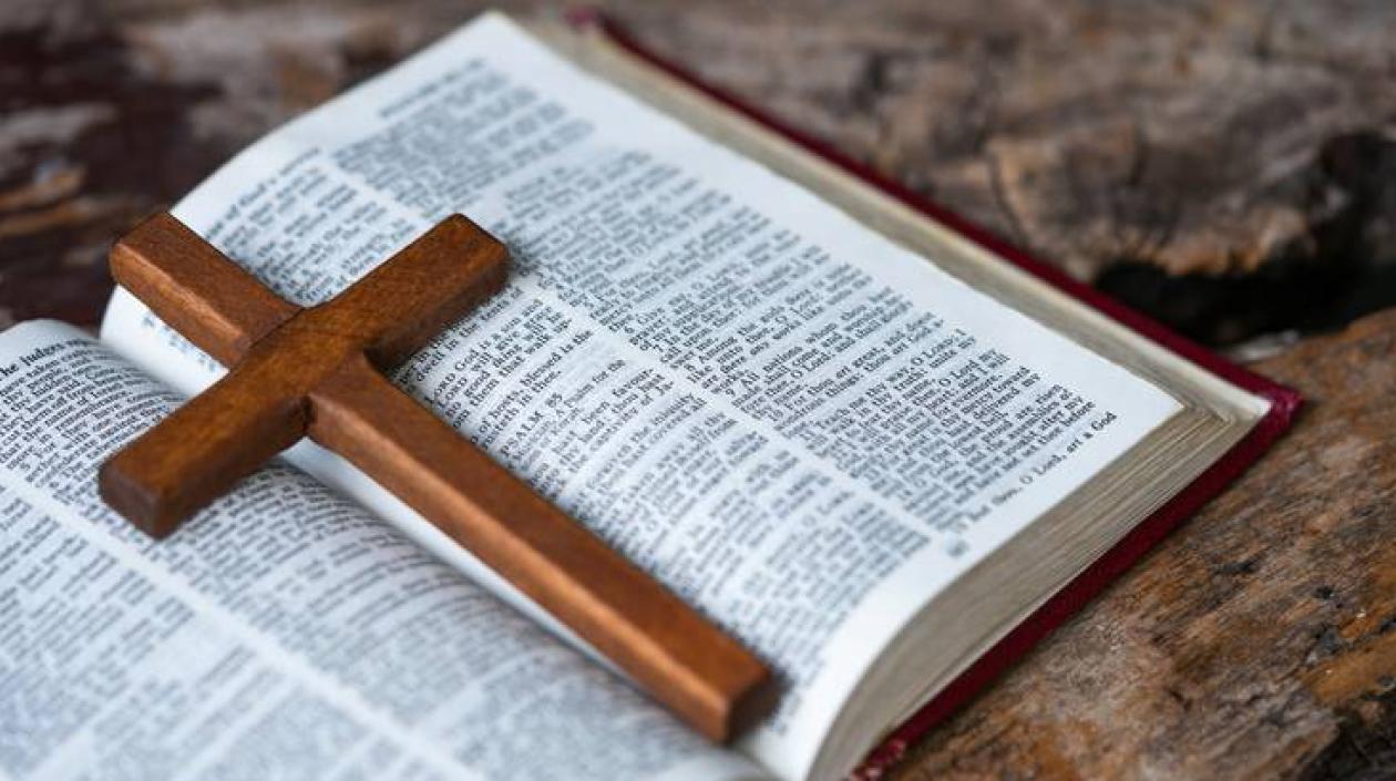 Imagen de referencia.